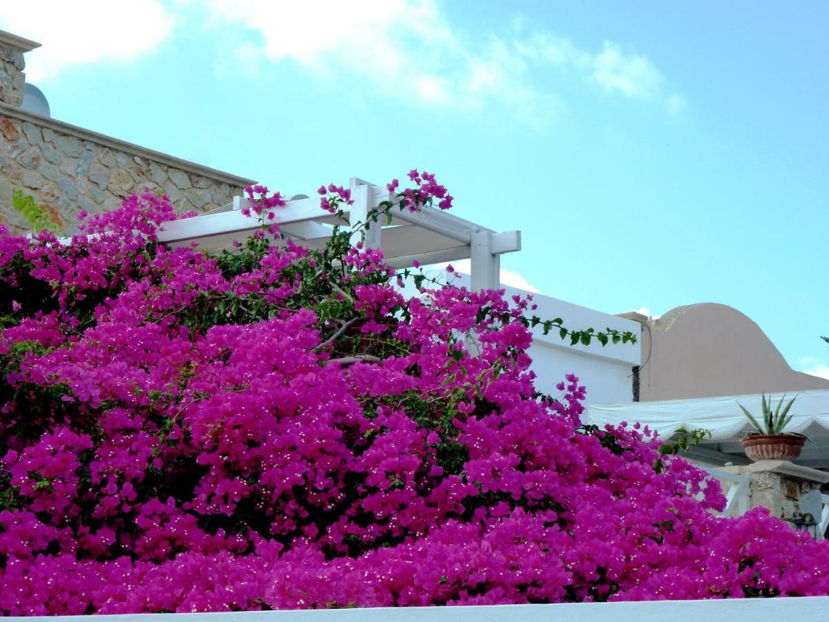 Bougainvillea Suites Kamári Dış mekan fotoğraf