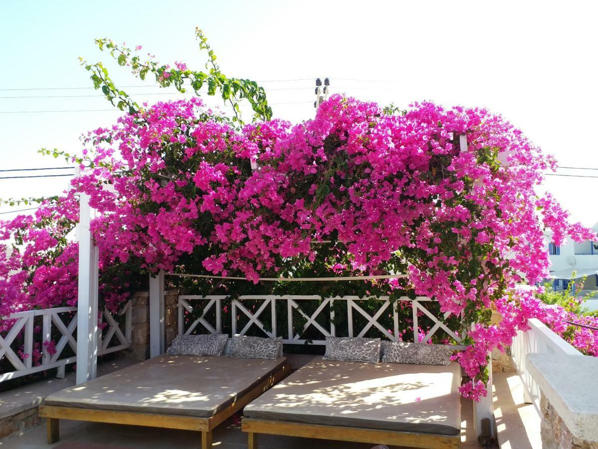 Bougainvillea Suites Kamári Dış mekan fotoğraf